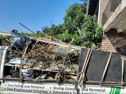 Best Dumpster Rental Services  in Holly Hill, FL